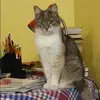 Отзыв от Нинель Фомичева